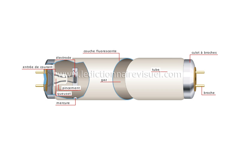 tube fluorescent image