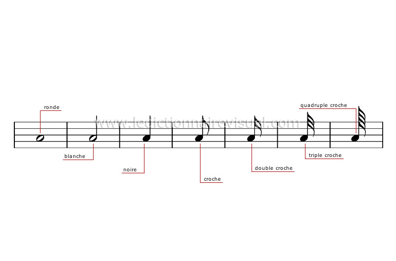 valeur des notes image