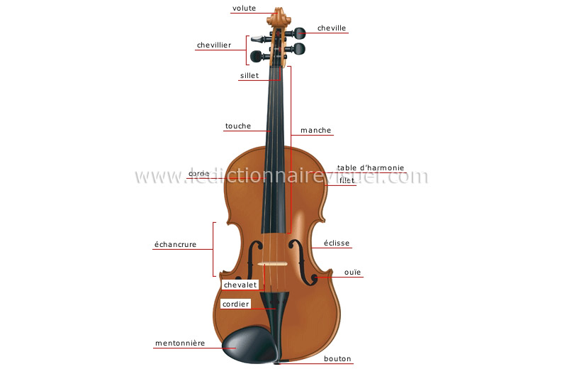 arts et architecture > musique > instruments à cordes > violon image -  Dictionnaire Visuel