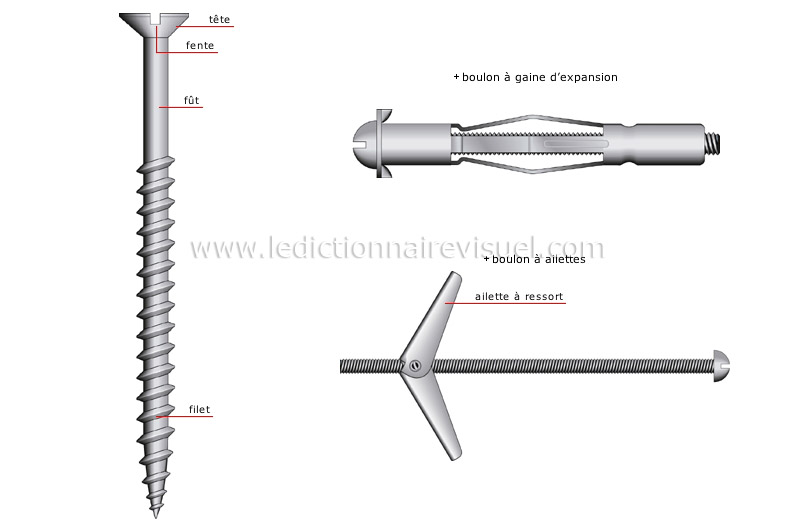 bricolage et jardinage > bricolage > menuiserie : outils pour visser > vis  image - Dictionnaire Visuel