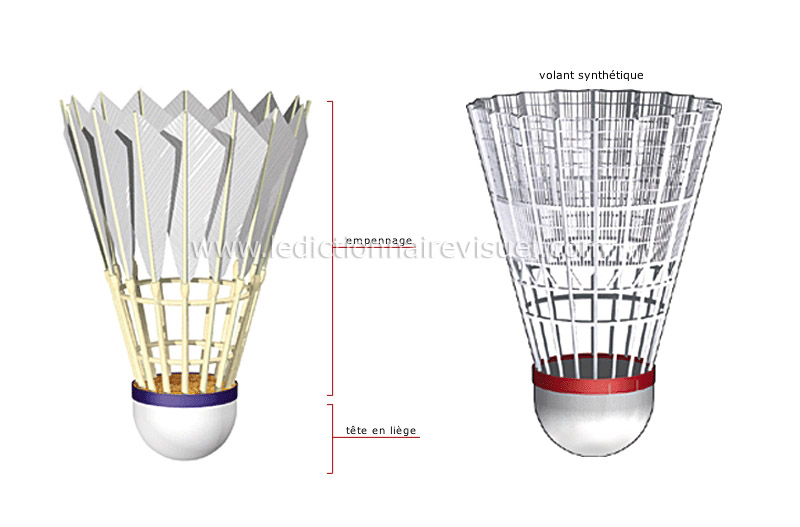 sports et jeux > sports de raquette > badminton > volant de plumes image -  Dictionnaire Visuel